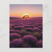 Lone Tree North York Moors National Park England Briefkaart (Voorkant)