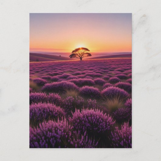 Lone Tree North York Moors National Park England Briefkaart (Voorkant)