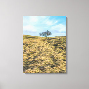 Lone tree op het platteland uitzicht canvas print