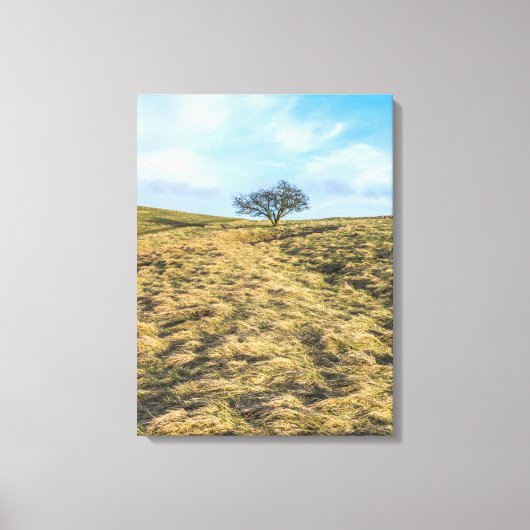 Lone tree op het platteland uitzicht canvas print (Voorkant)