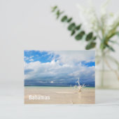 Lone tree op strand briefkaart (Staand voorkant)