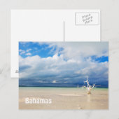 Lone tree op strand briefkaart (Voorkant / Achterkant)