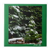 Lone Tree Tegeltje (Voorkant)