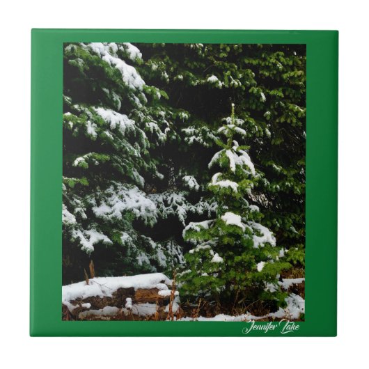 Lone Tree Tegeltje (Voorkant)