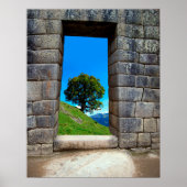 LONE TREE VAN MACHU PICHU POSTER (Voorkant)