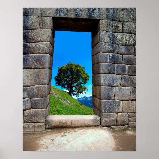 LONE TREE VAN MACHU PICHU POSTER (Voorkant)