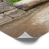 LONE TREE VAN MACHU PICHU POSTER (Hoek)