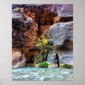 Lone Tree Zion National Park Virgin Poster (Voorkant)