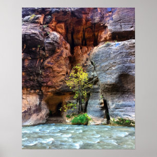 Lone Tree Zion National Park Virgin Poster