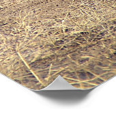 Lone Turkey Poster (Hoek)