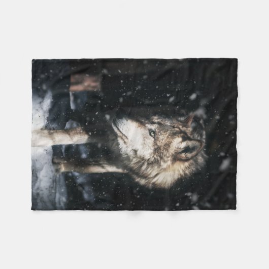 Lone Wanderer Fleece Deken (Voorkant (Horizontaal))