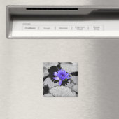 Lone Water Lily Magneet (Insitu (Vaatwasser))