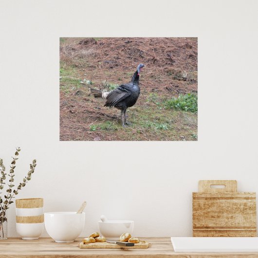 Lone wilde kalkoen poster (Keuken)