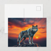 Lone Wolf at Sunset Uitnodiging Briefkaart (Voorkant / Achterkant)