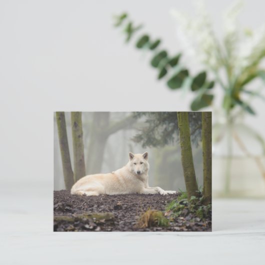 Lone Wolf Briefkaart (Staand voorkant)