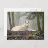 Lone Wolf Briefkaart (Voorkant / Achterkant)