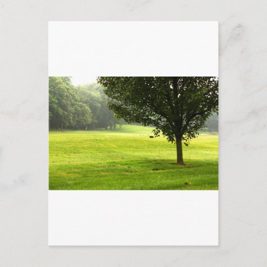 Lone Wolf Briefkaart (Voorkant)