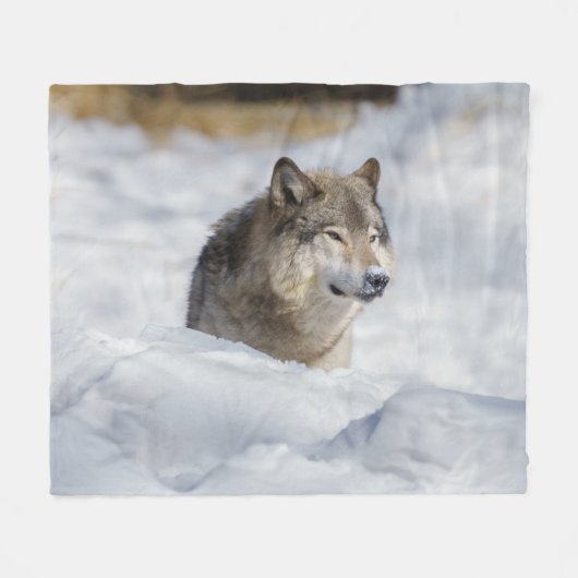 Lone Wolf in Snow Fleece Deken (Voorkant (Horizontaal))
