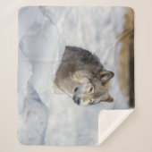 Lone Wolf in Snow Sherpa Deken (Voorkant)