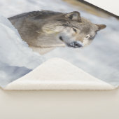 Lone Wolf in Snow Sherpa Deken (3/4)