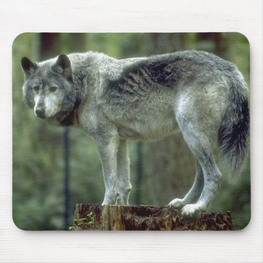 Lone Wolf Mousepad Muismat (Voorkant)