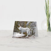 "Lone Wolf" Note Kaart (Voorkant)