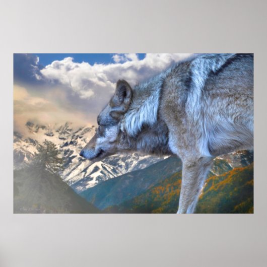 LONE WOLF OVERLORD OF FREEDOM POSTER (Voorkant)