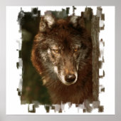 Lone Wolf Poster (Voorkant)
