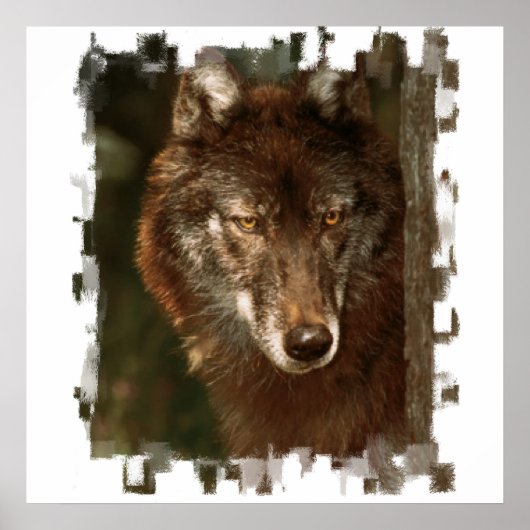 Lone Wolf Poster (Voorkant)