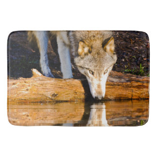 Lone Wolf Reflection in Pond Badmat