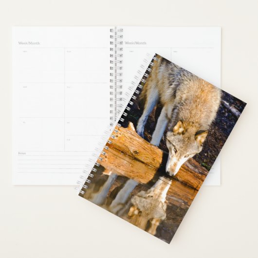 Lone Wolf Reflection in Pond Planner (Display)