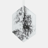 Lone Wolf Wildlife Animal Natuur Art Glas Ornament (Voorkant links)