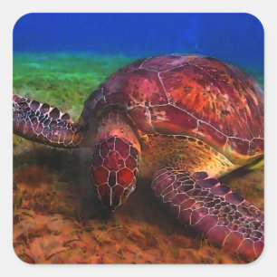 Lone Zee Turtle Sticker
