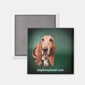 Lonely Basset Magnet (Voorkant / Achterkant)