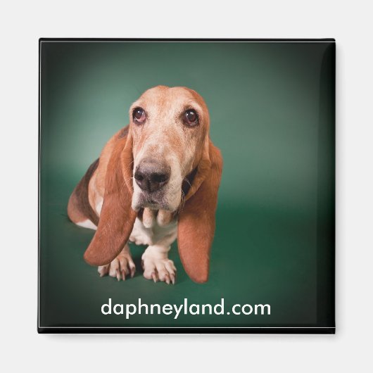Lonely Basset Magnet (Voorkant)