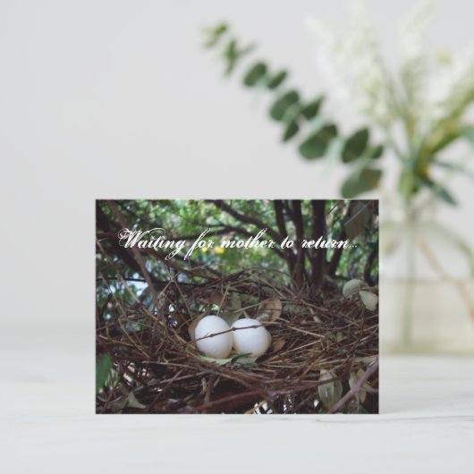 Lonely Birds Nest Briefkaart (Staand voorkant)