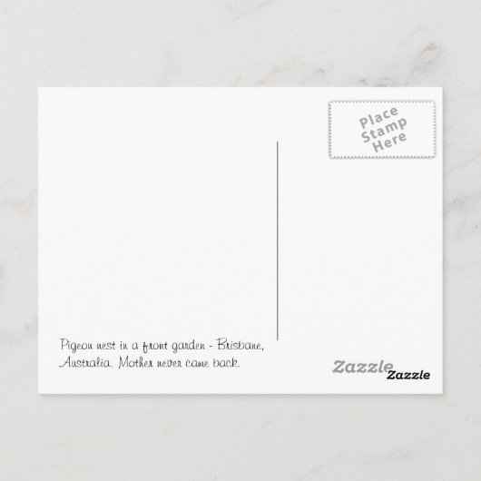 Lonely Birds Nest Briefkaart (Achterkant)