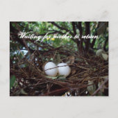 Lonely Birds Nest Briefkaart (Voorkant)