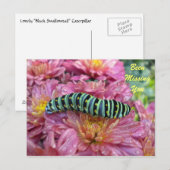 Lonely Caterpillar "missing you" briefkaart (Voorkant / Achterkant)