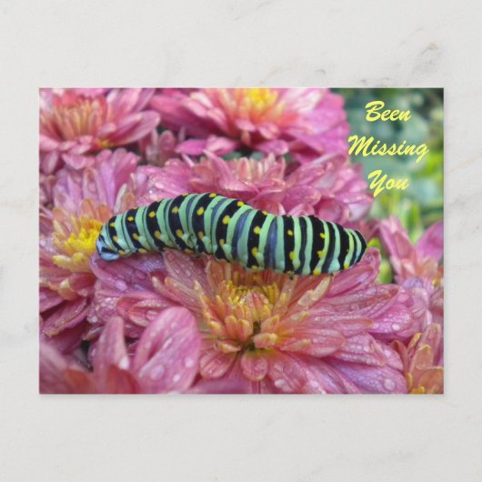 Lonely Caterpillar "missing you" briefkaart (Voorkant)