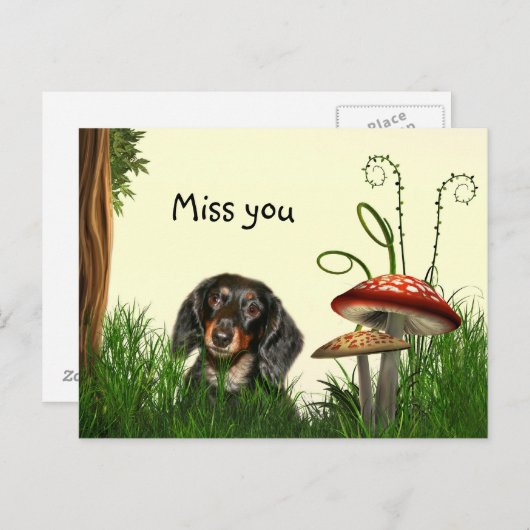 Lonely Dachshund Briefkaart (Voorkant / Achterkant)