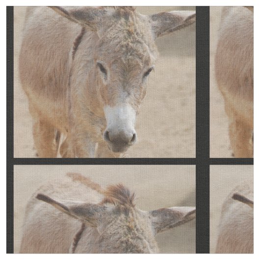 Lonely Donkey Stof (Close Up)