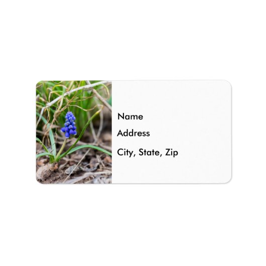 Lonely Grape Hyacinth Etiket (Voorkant)