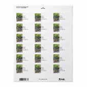 Lonely Grape Hyacinth Etiket (Full Sheet)