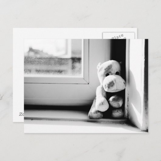 Lonely Hippo  Briefkaart (Voorkant / Achterkant)