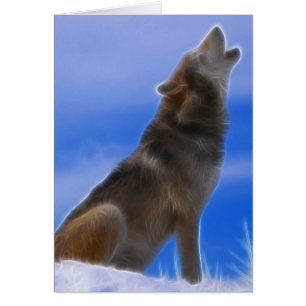 Lonely Howling Endangered Gray Wolf