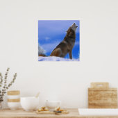 Lonely Howling Endangered Gray Wolf Poster (Keuken)