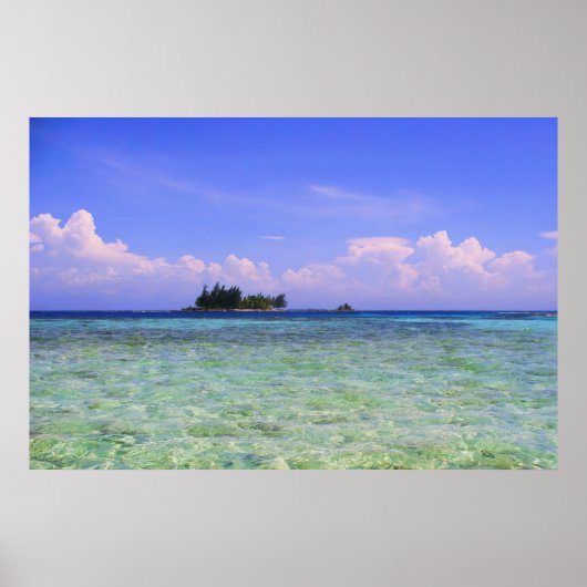 Lonely Island Poster (Voorkant)