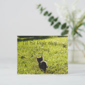 Lonely Kitten "Missing You" Briefkaart (Staand voorkant)
