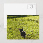 Lonely Kitten "Missing You" Briefkaart (Voorkant / Achterkant)